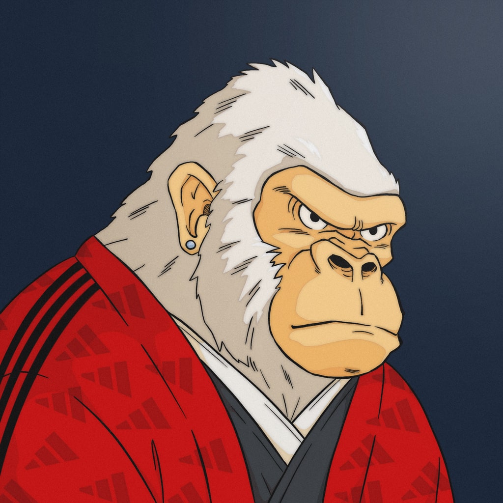 Adidas Kimono Genkai